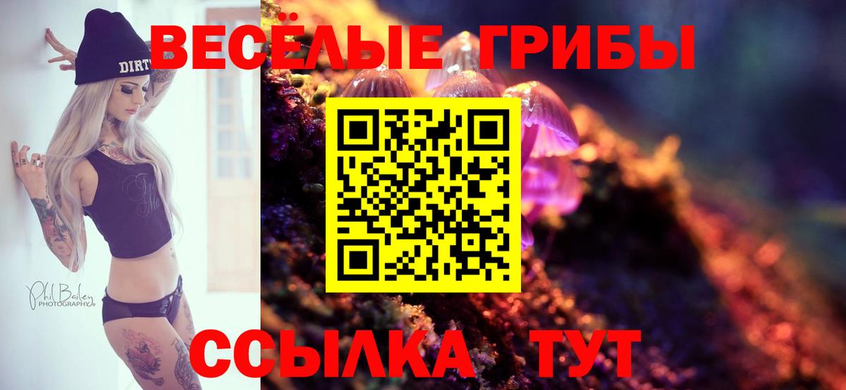 Псилоцибиновые грибы прущие грибы Глазов