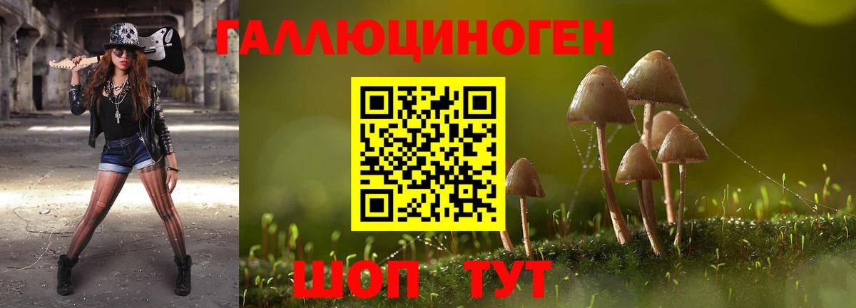 Глазов  Галлюциногенные грибы Psilocybe  Вход с VPN 