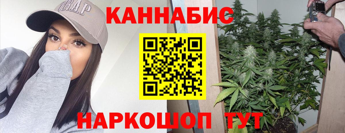 Бошки Шишки сатива  Конопля SATIVA & INDICA  МАРИХУАНА THC 21%  Вход с VPN  Глазов  Конопля VHQ 